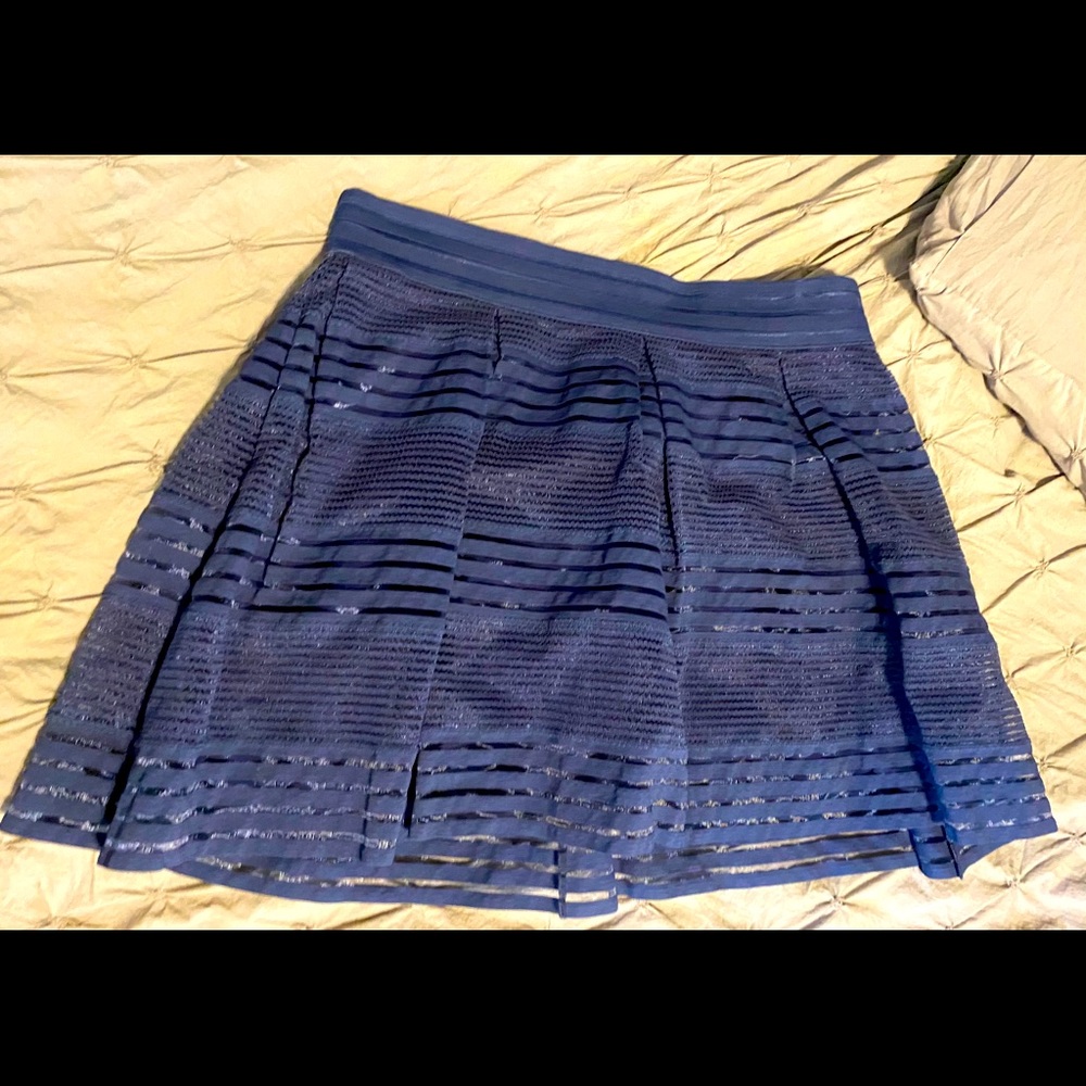 Navy Skirt
